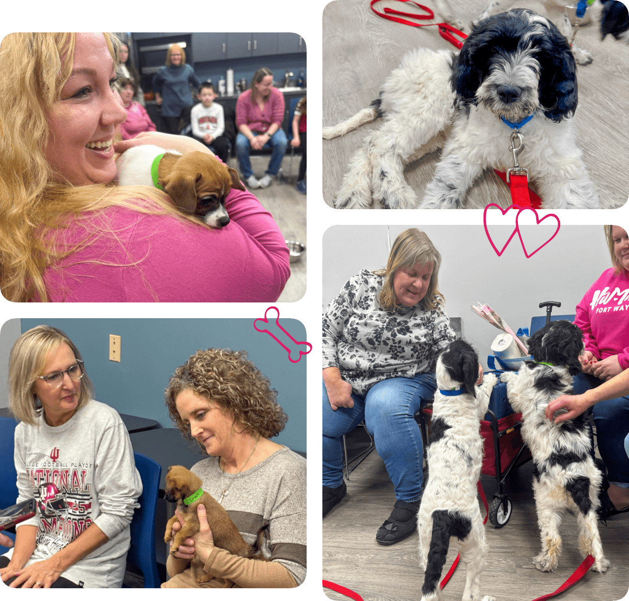 Collage #1 of Humane Fort Wayne for a Puppy Gram Visit at Burt Blee