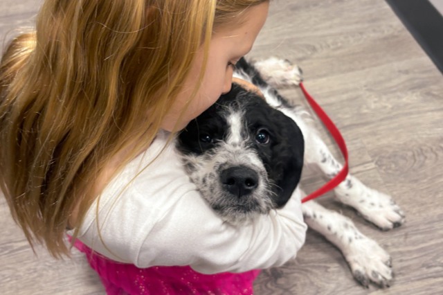 Child Petting a Puppy